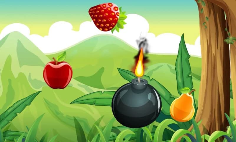 Fruit Slasher